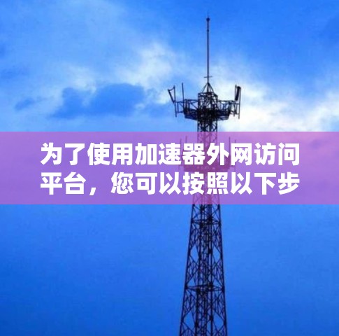 为了使用加速器外网访问平台，您可以按照以下步骤进行