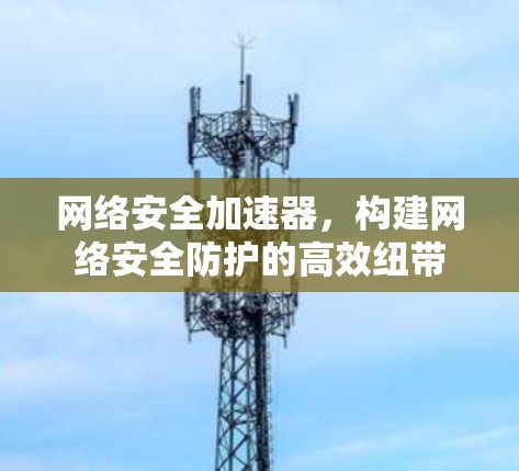 网络安全加速器，构建网络安全防护的高效纽带