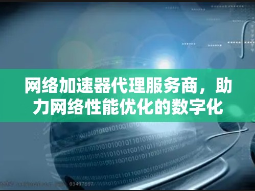 网络加速器代理服务商，助力网络性能优化的数字化解决方案