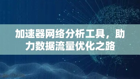 加速器网络分析工具，助力数据流量优化之路