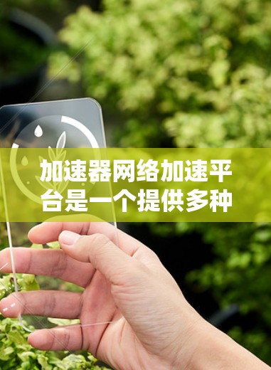加速器网络加速平台是一个提供多种网络加速功能的工具，旨在提升用户在视频、图片、音频等任务中的性能。以下是对该平台的详细介绍