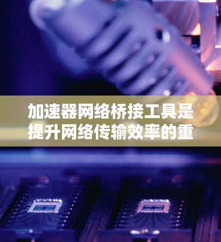 加速器网络桥接工具是提升网络传输效率的重要工具，适用于企业网络优化、云计算环境和移动互联网应用。以下是对该工具的详细分析和使用指南