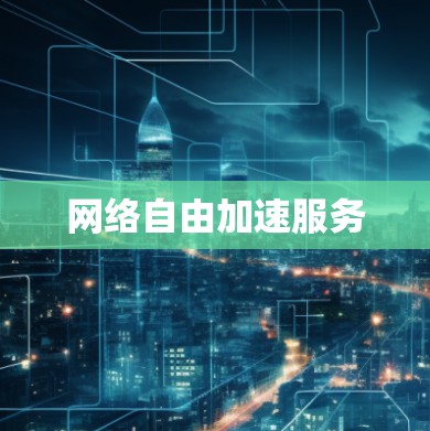 网络自由加速服务