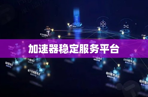 加速器稳定服务平台