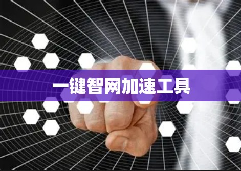 一键智网加速工具