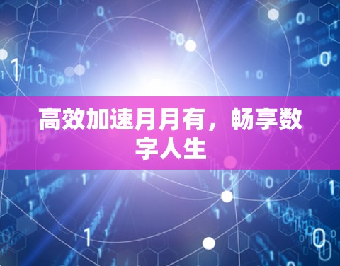 高效加速月月有，畅享数字人生