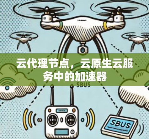 云代理节点，云原生云服务中的加速器