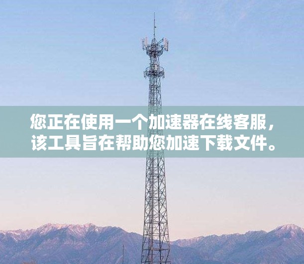 您正在使用一个加速器在线客服，该工具旨在帮助您加速下载文件。为了更好地使用它，请按照以下步骤操作