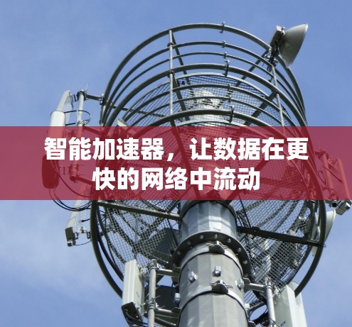 智能加速器，让数据在更快的网络中流动