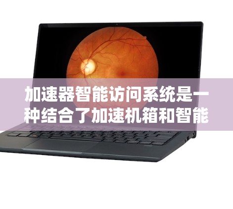 加速器智能访问系统是一种结合了加速机箱和智能访问技术的现代计算机系统，旨在提升性能和效率。该系统通过智能访问功能，能够快速识别和管理设备资源，实现对特定功能的自动访问。以下是其详细信息