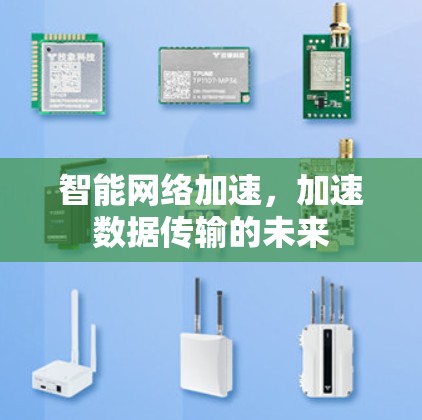 智能网络加速，加速数据传输的未来
