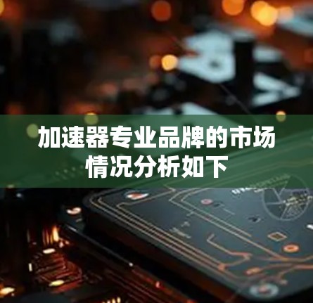 加速器专业品牌的市场情况分析如下