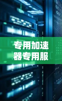 专用加速器专用服务器，助力高效加速的未来解决方案