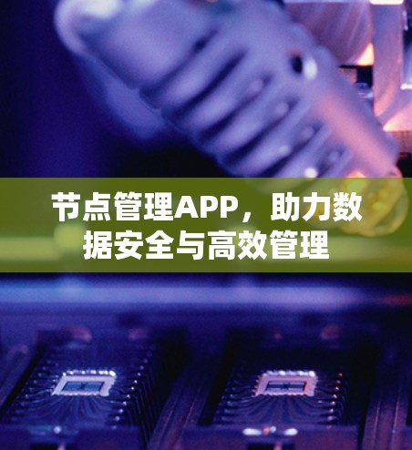节点管理APP，助力数据安全与高效管理