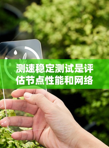 测速稳定测试是评估节点性能和网络稳定性的重要方法，主要用于测试节点在数据传输过程中的效率和稳定性。以下是该测试的详细解释
