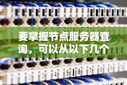 要掌握节点服务器查询，可以从以下几个步骤进行学习和实践