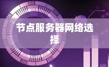 节点服务器网络选择