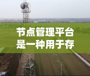 节点管理平台是一种用于存储、管理计算机节点的系统，通常用于项目管理和云存储。它支持节点的管理、复制、移动、删除、合并等操作，并提供自动化和自动化工具以提高效率。以下是对节点管理平台的详细介绍