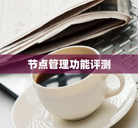 节点管理功能评测