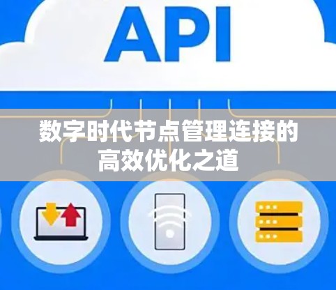 数字时代节点管理连接的高效优化之道