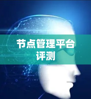 节点管理平台评测