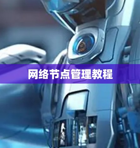网络节点管理教程