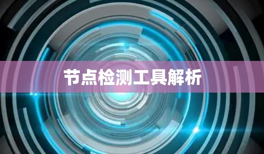 节点检测工具解析