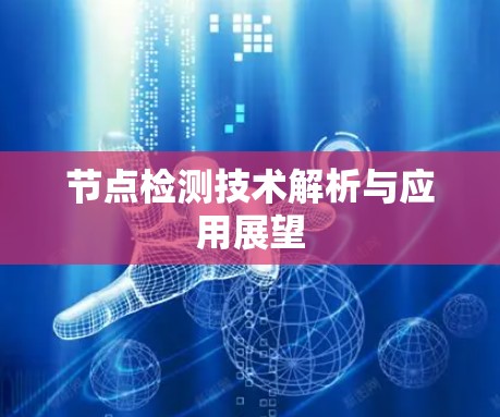 节点检测技术解析与应用展望