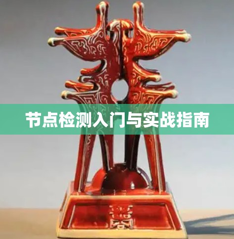 节点检测入门与实战指南