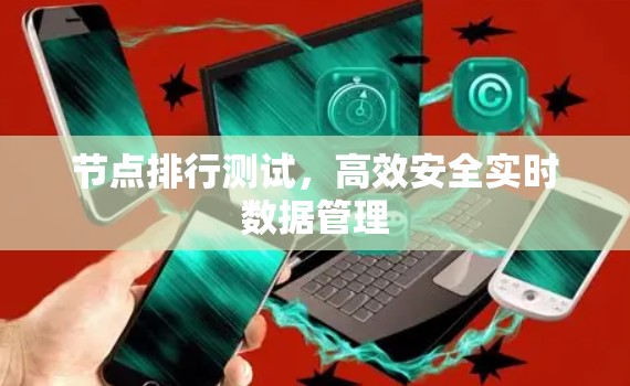 节点排行测试，高效安全实时数据管理