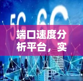 端口速度分析平台，实时监测与优化