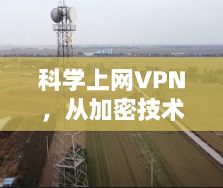 科学上网VPN，从加密技术到隐私保护的未来思考