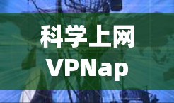 科学上网VPNapp是一种专门针对科学和学术用途设计的VPN工具，旨在提供安全、高效和科学计算的环境。以下是对该应用的详细介绍