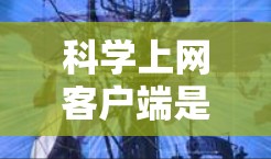 科学上网客户端是一个多功能的在线工具，广泛应用于科学计算、数据分析和编程。以下是对该主题的分步指南