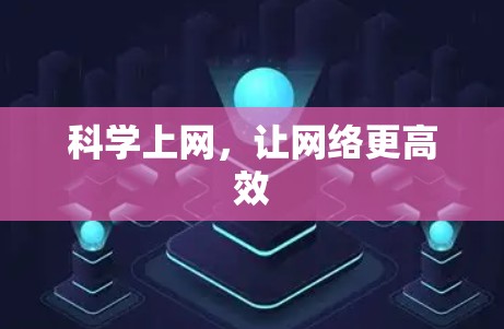 科学上网，让网络更高效