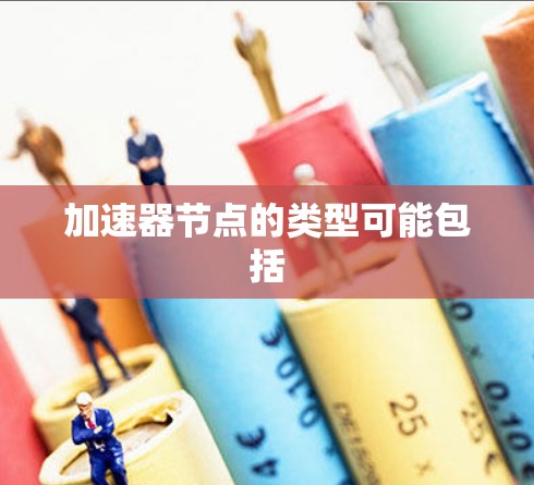 加速器节点的类型可能包括