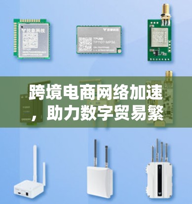 跨境电商网络加速，助力数字贸易繁荣