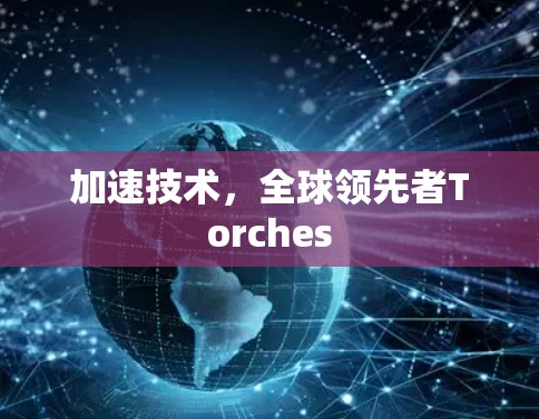 加速技术，全球领先者Torches
