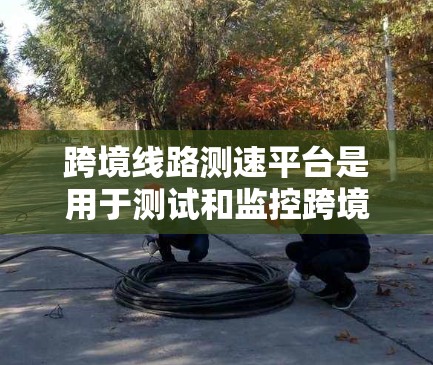 跨境线路测速平台是用于测试和监控跨境网络流量的工具，旨在保护国内网络和管理国际数据流动。以下是对该概念的详细分析
