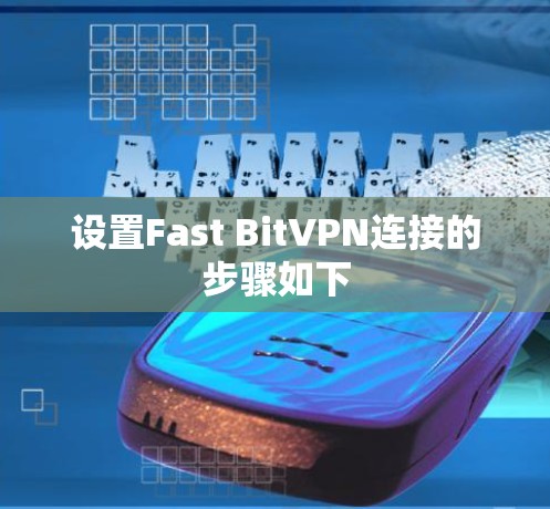 设置Fast BitVPN连接的步骤如下