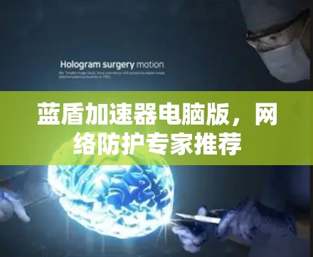 蓝盾加速器电脑版，网络防护专家推荐