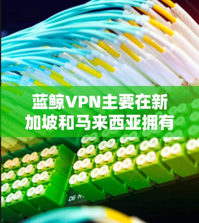 蓝鲸VPN主要在新加坡和马来西亚拥有节点，以下是关于蓝鲸VPN机场节点和高速线路的详细推荐