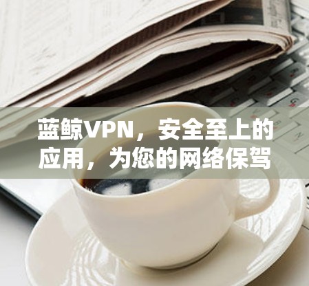 蓝鲸VPN，安全至上的应用，为您的网络保驾护航