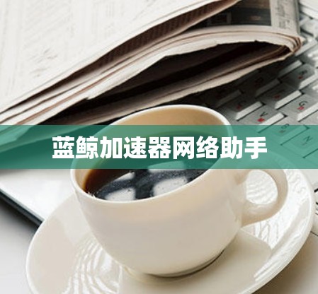蓝鲸加速器网络助手
