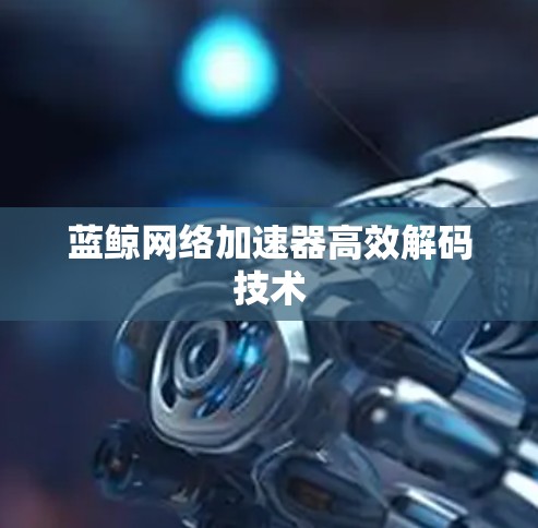 蓝鲸网络加速器高效解码技术