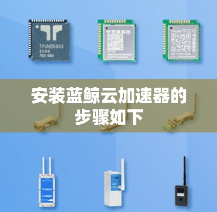 安装蓝鲸云加速器的步骤如下