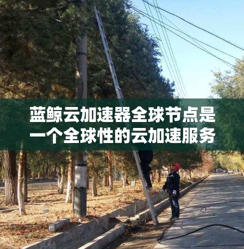 蓝鲸云加速器全球节点是一个全球性的云加速服务平台，提供多样化的加速工具和服务，满足不同用户在服务器加速、手机加速和电脑加速方面的需求。以下是关于蓝鲸云加速器的详细信息