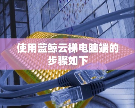 使用蓝鲸云梯电脑端的步骤如下
