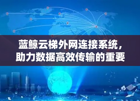 蓝鲸云梯外网连接系统，助力数据高效传输的重要解决方案