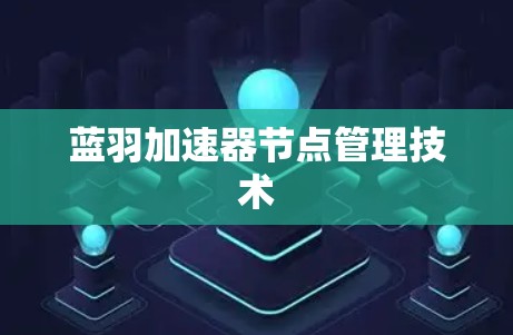 蓝羽加速器节点管理技术